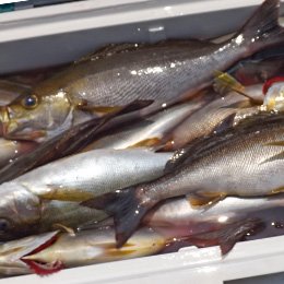 利用されたお客様イメージ