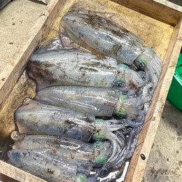 利用されたお客様イメージ